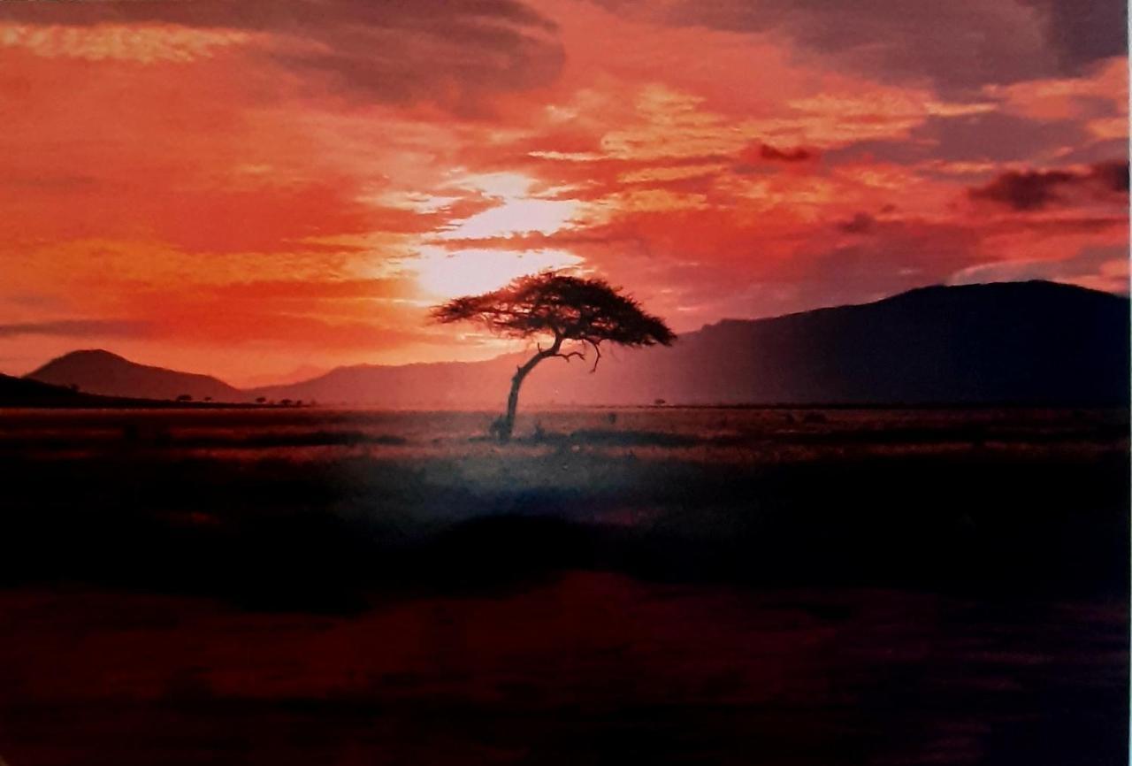 Serengeti Nap Comfy Rooms Sidárion Eksteriør bilde